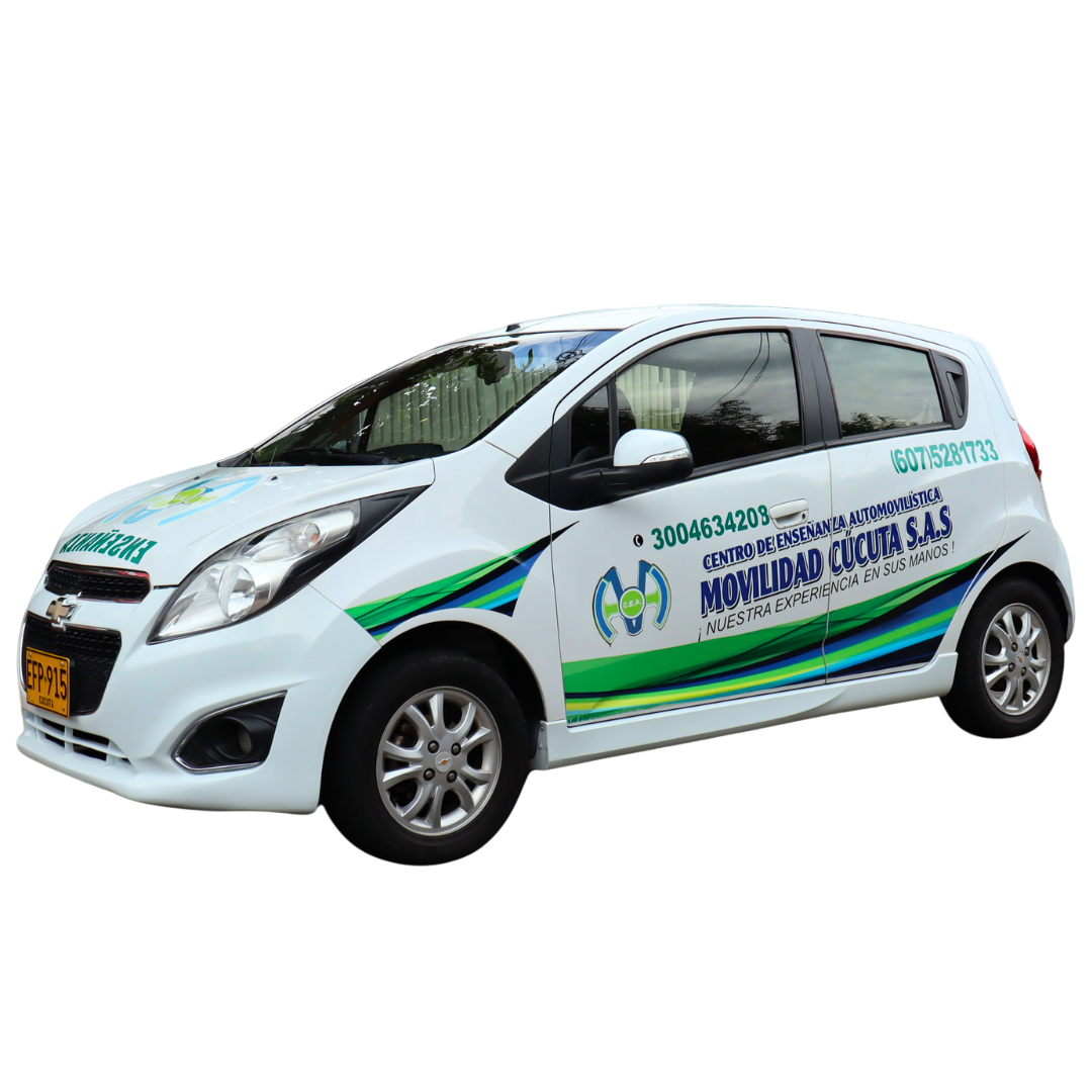 Categoría C1 (Servicio Público)